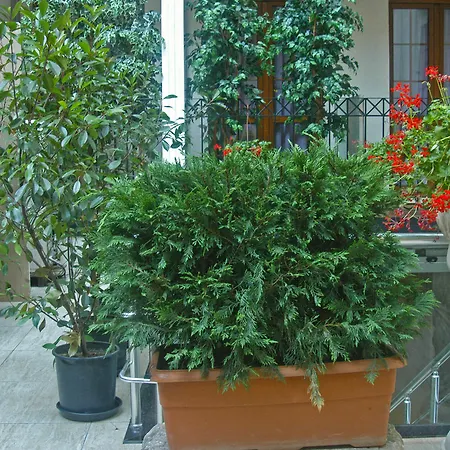East Hotel Istambul
